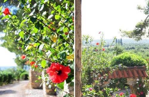 Traganitsa Apartments - Foto 28