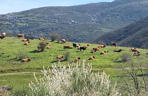 La Casita de Chocolate - Encanto Rural en Espinoso de Compludo - El Bierzo - Foto 18