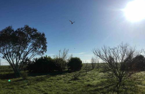 L’Eucalyptus Blanc, claire, paisible,fonctionnelle - Photo 15