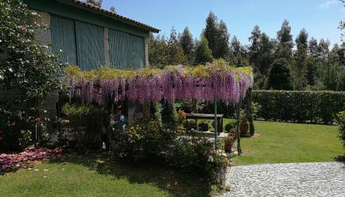 Casas da Tapada Briteiros Casa Do Espigueiro - Foto 5, Garden