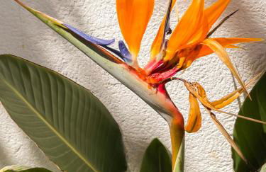 Chalet privado con Piscina exclusiva y Suite de lujo - Foto 62