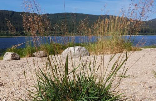 Ferienwohnung am Geißberg - Photo 18