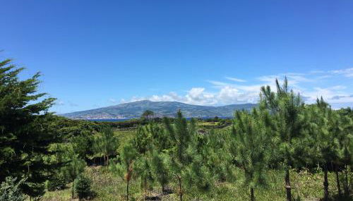 Home Pico - Casa dos Cedros (Alojamento local) - Photo 2