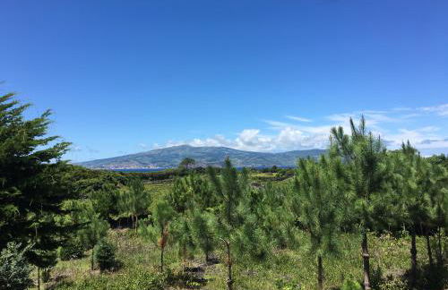 Home Pico - Casa dos Cedros (Alojamento local) - Photo 2