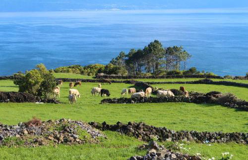 Pike Cliffs I - Photo 11