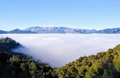 Alojamiento Rural El Peñon de Hornos - Foto 38