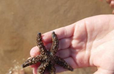 Fronte Mare - Foto 59