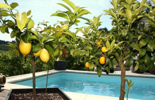 Panoramaferienwohnung Monika mit Pool - Photo 10