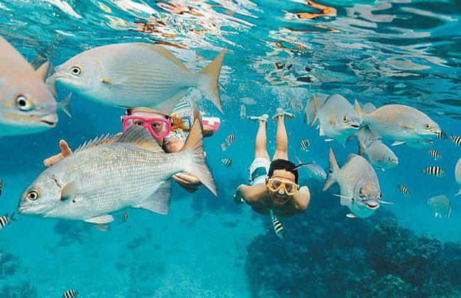 Excursion sur l'île Saona + fleuve Chavón - Photo 5