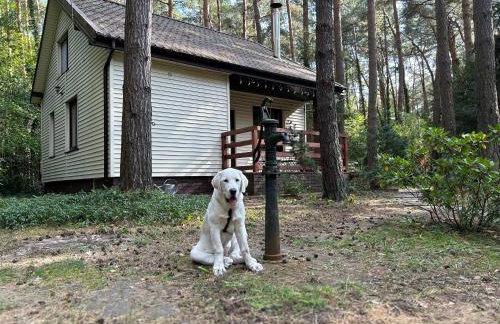 Masuria Warsaw Family - dom na wyłączność - w lesie i przy rzece - 15 min od Warszawy - idealny dla rodzin z dziećmi - Foto 37