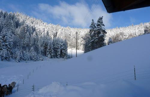 Alpaca-Village - Foto 30