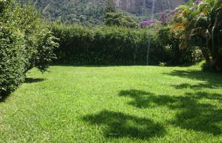 Casa de Araras - Foto 16