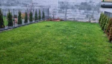 The Nest - TRILO - WIFI - Box - Cortile - Magnolta - Foto 5, Garden