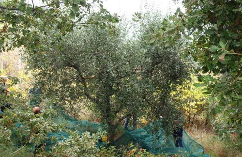 Villa Manu - Foto 62