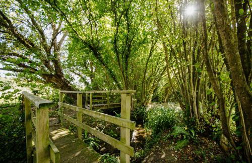 Orchard Cottage - Rudge Farm Cottages - Foto 19