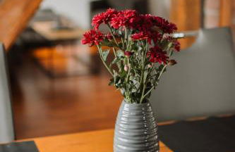 Ferienwohnung „Dachblick“ in Freudenberg - Foto 12