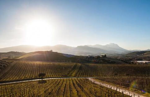 Masseria del Vino - Ciavolich Wine Estate - Foto 8