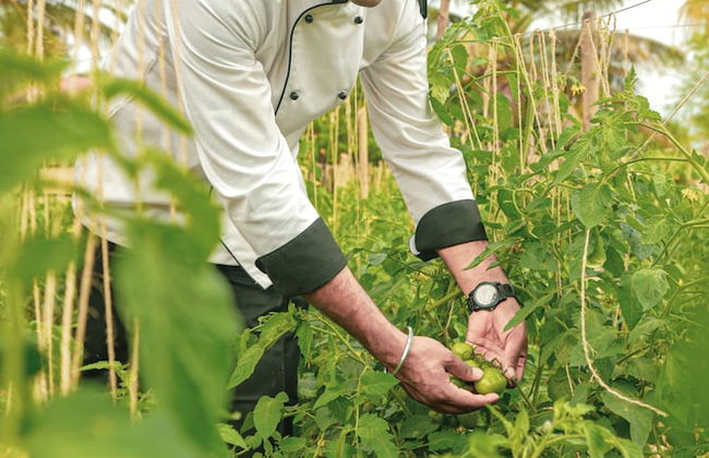 Brahmi Resort - Foto 54