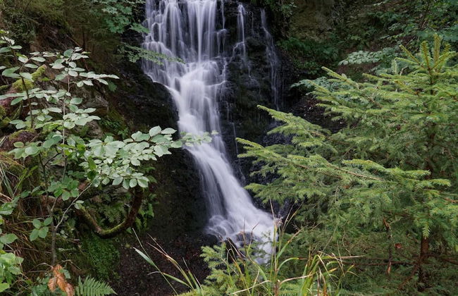 Ferienhaus in Wieda mit Garten - Foto 28