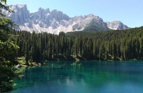 Residence Grand Hotel Carezza - Foto 61