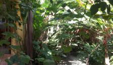 Boipeba Cantinho do Mirko II - Foto 4