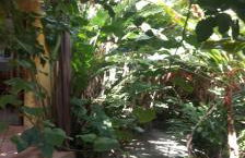 Boipeba Cantinho do Mirko II - Foto 4