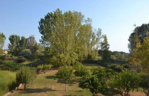 Beach House Into the Green! - Foto 18