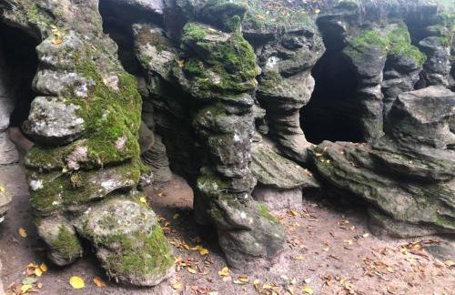 Młyńska Chata - drewniany, całoroczny dom w sosnowym lesie - Foto 27