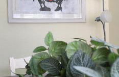 My Home in Orlando - Foto 27