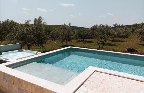 NEW 2023 Villa Tree of Life - Photo 59