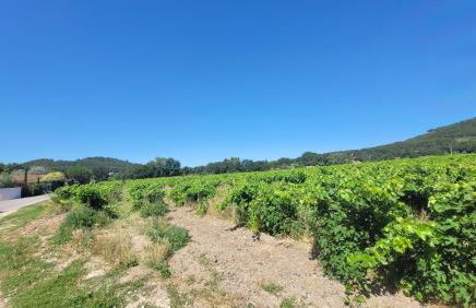 Location Gite avec Piscine Luberon ARTEMISS - Photo 6