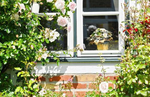 Landhaus Vilmnitz - Wohnung 8 - Foto 39