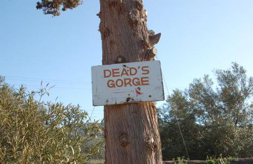 Little Blue - Photo 29