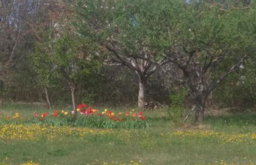 Appartement à la campagne - Foto 12