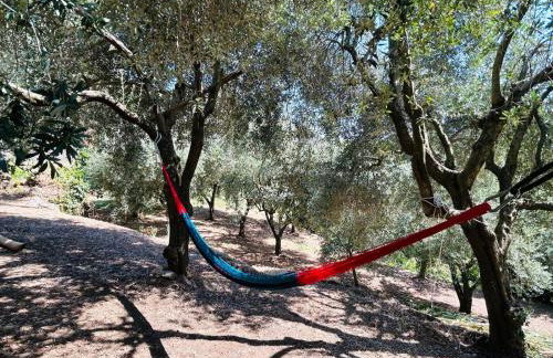 Amalfi Lodge - Foto 35