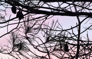 Alcarria , Casa del Agua - Foto 35