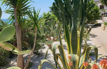 Il Canneto di Selinunte - Foto 34