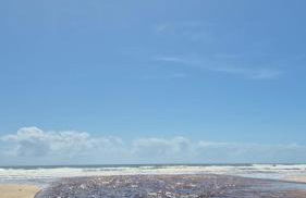 Cond Praia Da Perola - Apt Rosa 7 - Foto 19