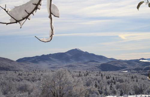 Vila Velika Kuća za odmor - Foto 69