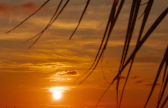 Condominio Caribe Campestr Olamar Living - Foto 69