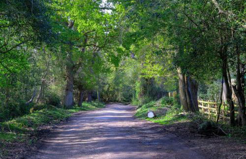 Oak Lodge - Photo 40