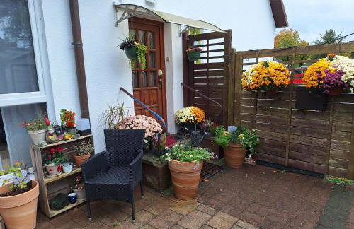 Pension Entenhausen - Foto 28