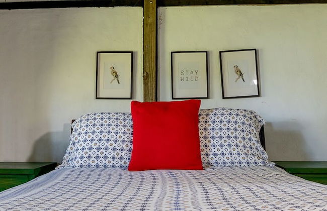 Villa Pajon Eco Lodge - Foto 8