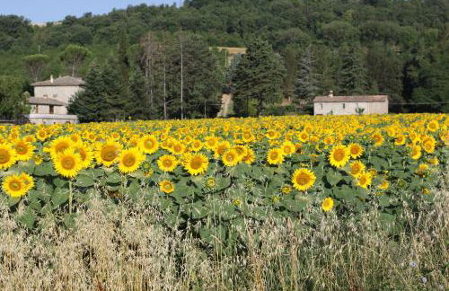 Villa Cavagnetti - Foto 26