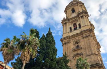 La Tierra Sur apartment Malaga Center - Photo 58