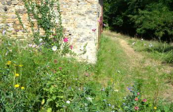 Grange avec piscine - La Hulotte du Cluzel - Foto 22