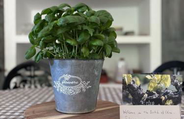 La Bastide des Chênes Lacoste - Photo 16