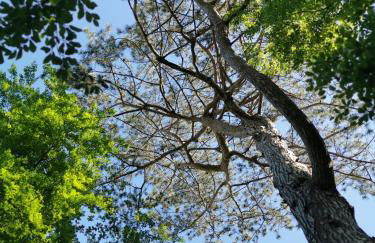 Hof Albersmeier Hüttinghausen / Urlaub am Stall - Foto 54