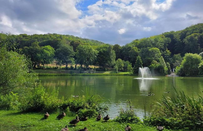 Holiday Home With Parking - Foto 20