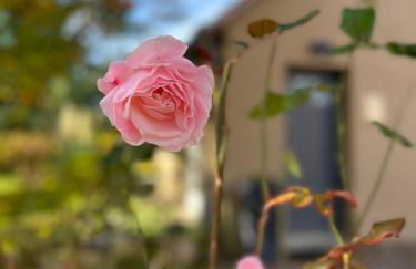 GSand Le Clos du May - Foto 39